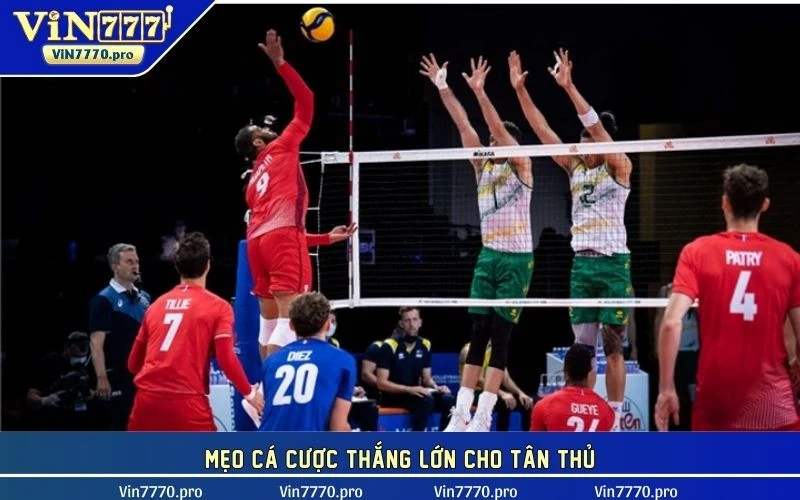 Mẹo cá cược thắng lớn cho tân thủ